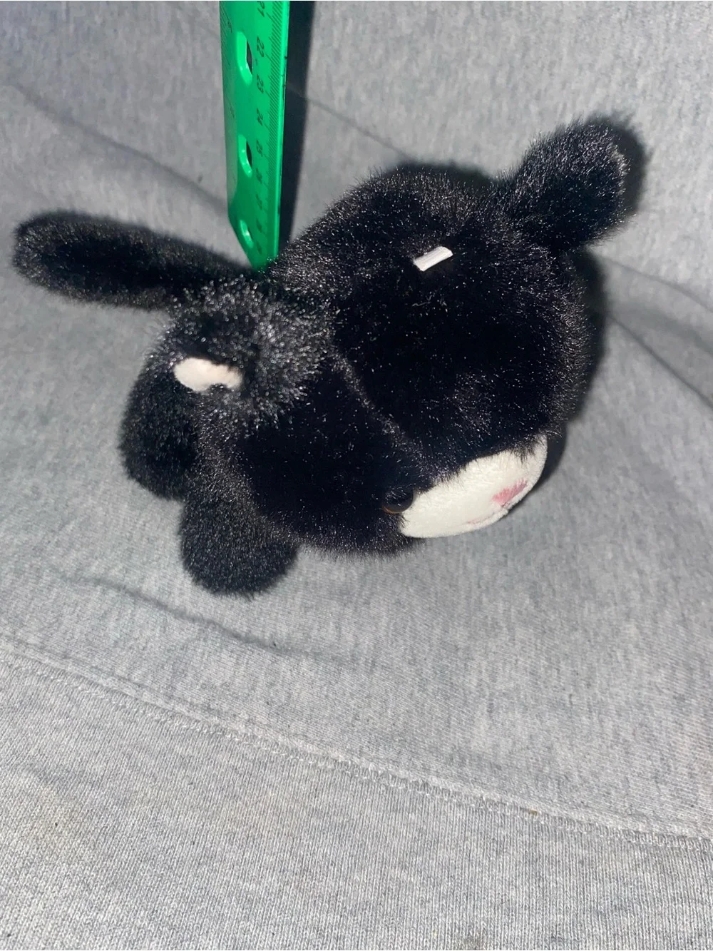 Small black plush kitty cat